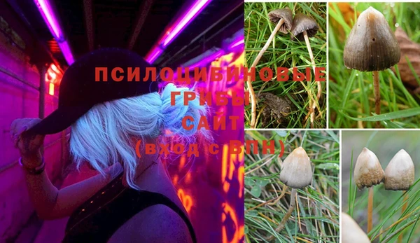 бутират Россошь