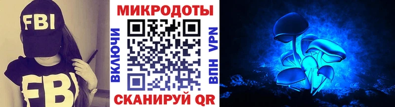 где можно купить наркотик  Лесозаводск  Псилоцибиновые грибы Psilocybe 