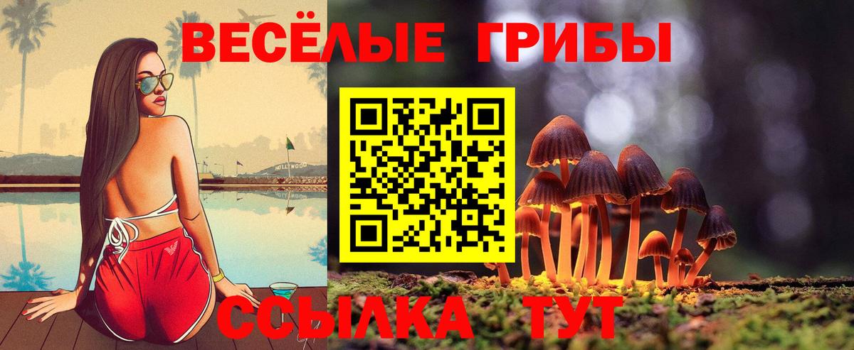 Псилоцибиновые грибы мицелий  Вход с VPN  закладки  Галлюциногенные грибы мицелий  Лесозаводск 