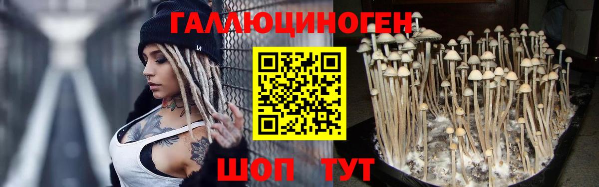 Галлюциногенные грибы MAGIC MUSHROOMS Лесозаводск